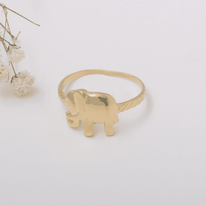 Ely Ringe ringe