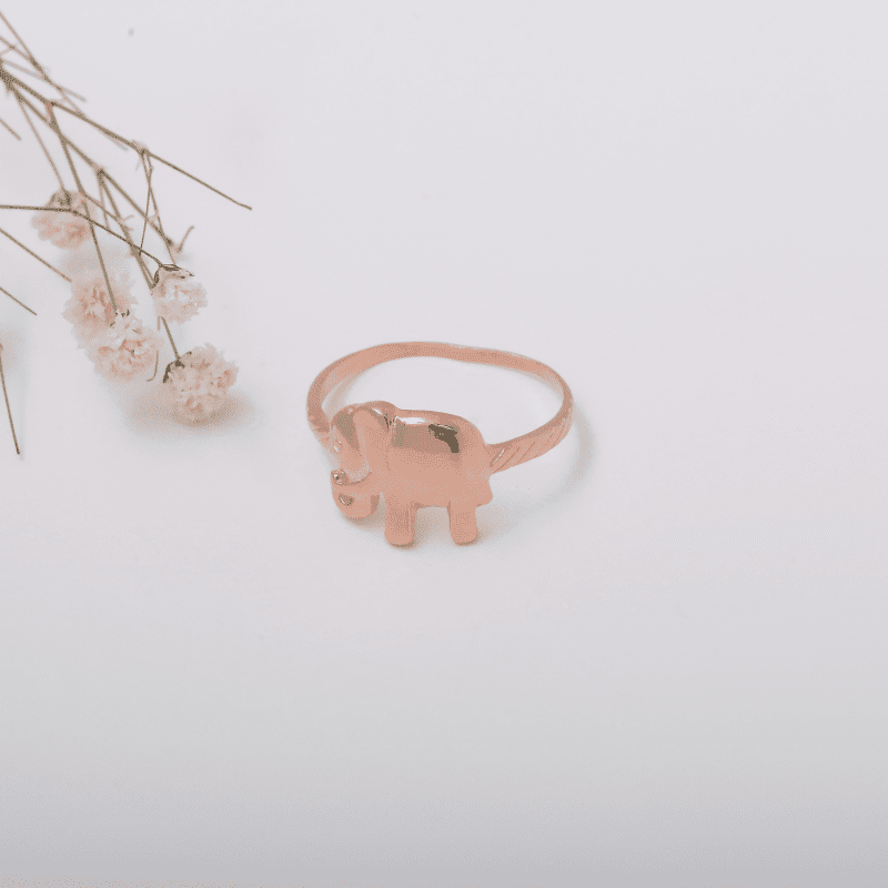 Ely Ringe ringe