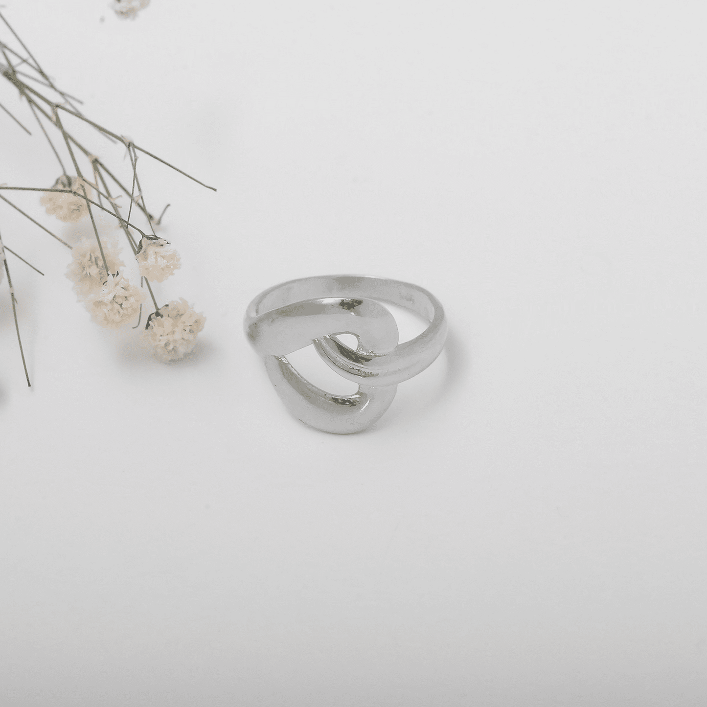 Pisa Ringe ringe