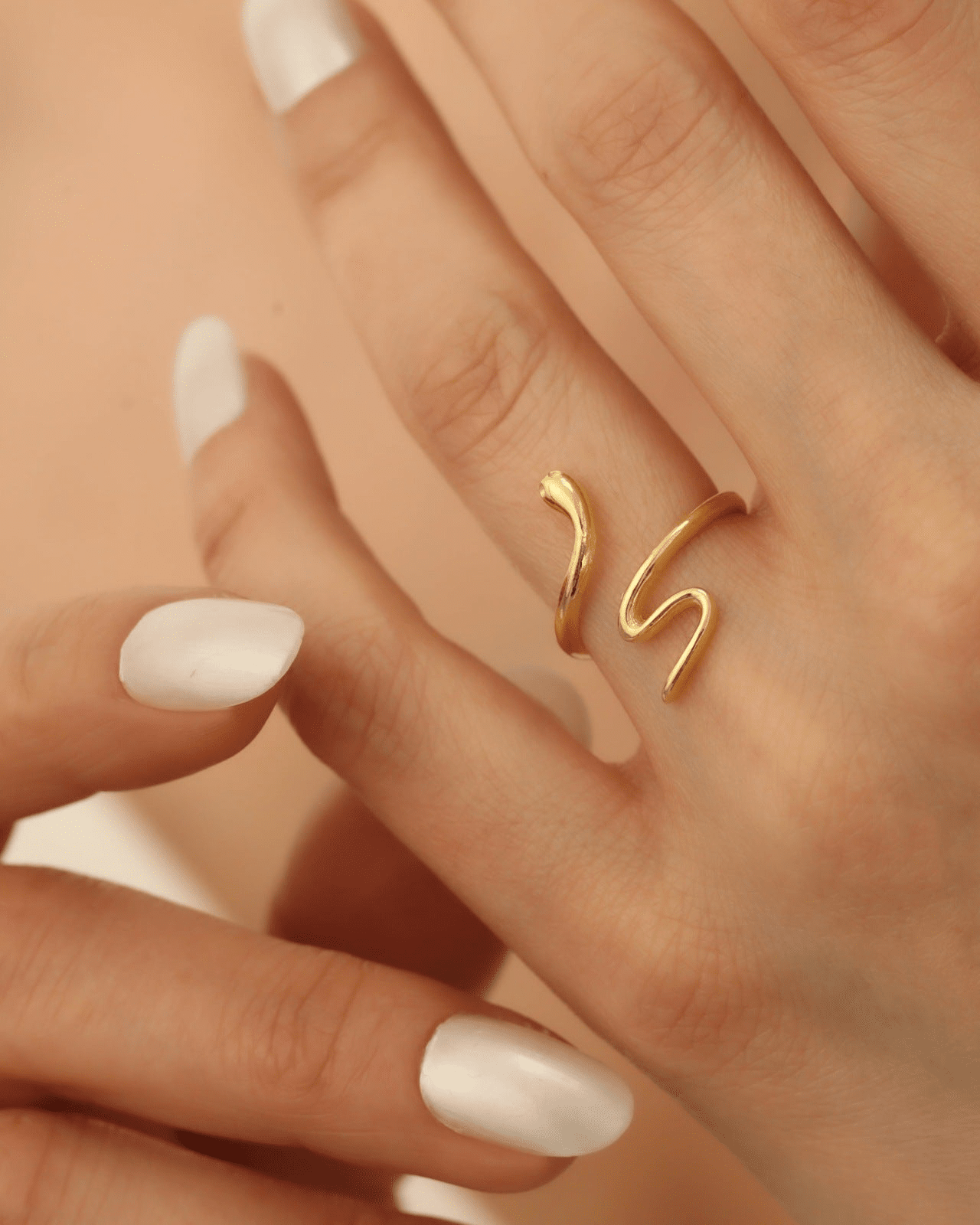 Twisted Serpent Silver Ring