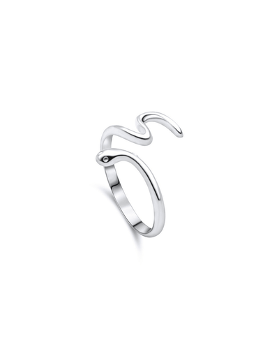 Twisted Serpent Silver Ring